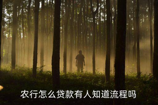 农业银行富民贷怎么写申请