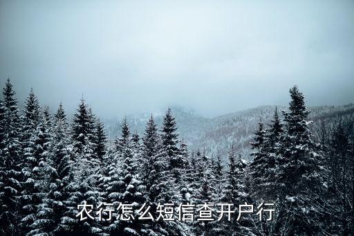 农业银行怎么查办卡银行