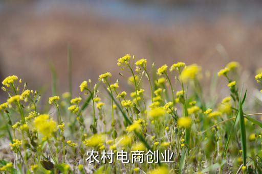 农业o2o怎么做,农业社区o2o模式