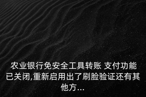 农业银行怎么开通支付权限
