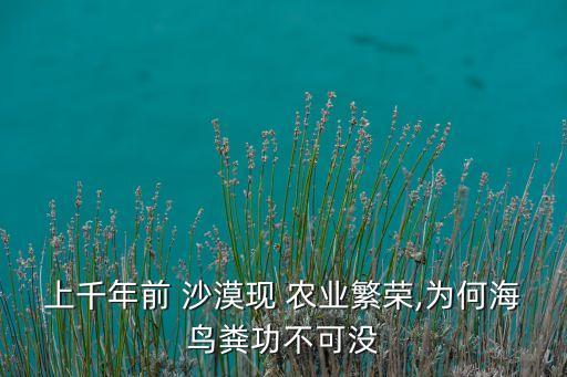 沙漠农业怎么发展,沙漠地区如何发展农业