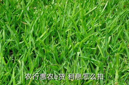 手机农业银行怎么贷款利息,农业银行贷款利息2022最新利率