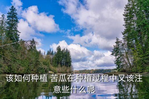 发财农业网苦瓜怎么种