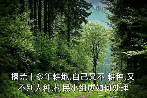 农业无人耕种怎么解决