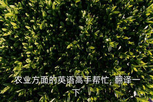 农业翻译模板怎么写好呢