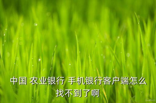 农业银行帐号怎么找回手机,新手机登录农业银行APP帐号需要验证码吗