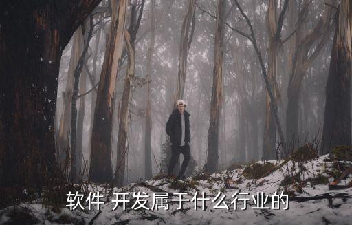 农业软件开发是什么专业的,嵌入式软件开发是什么专业