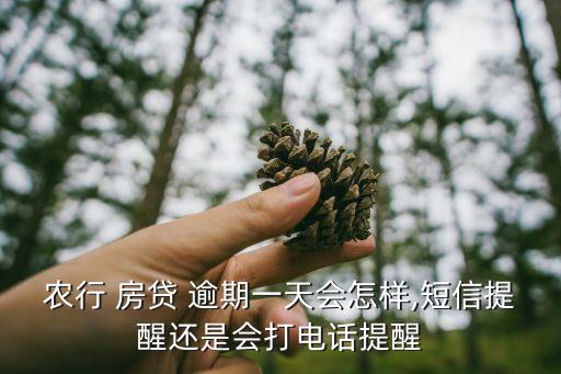农业房贷逾期怎么还