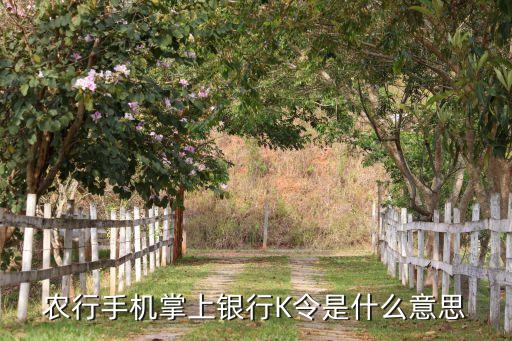 农业银行怎么开启k口令,山东农业银行动态口令