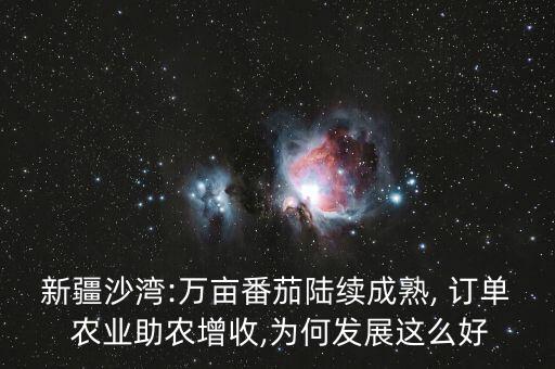 订单农业种植什么赚钱,2023年种植什么最赚钱呢