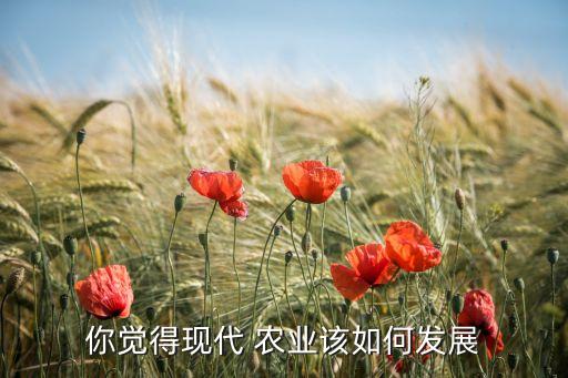 农业靠天吃饭怎么样,现在农业靠天吃饭的基本状况仍没有变