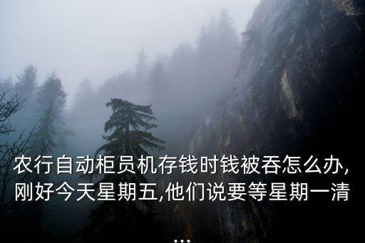 农业银行冲正怎么解决