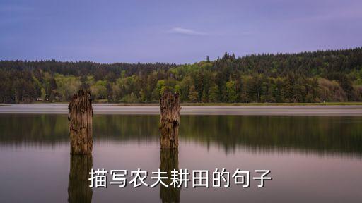 灌溉农业介绍语句怎么写