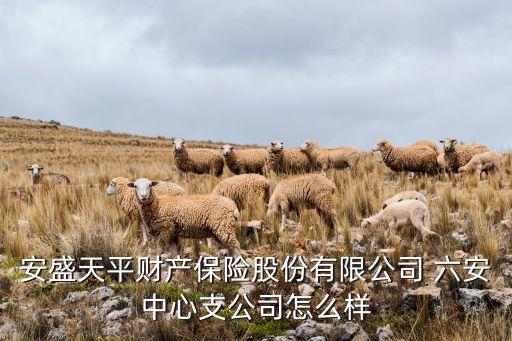 六安农业保险怎么样,中国农业保险股份有限公司怎么样