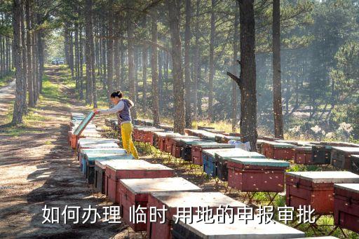 临时农业用地怎么申请,乡镇申请农业设施用地报告