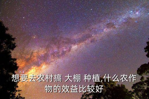 农业公园温室大棚种植什么,温室大棚夏季适合种植什么