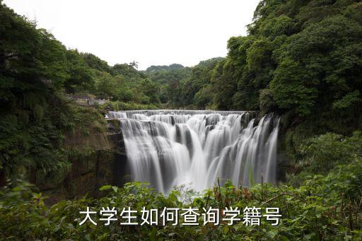 东北农业大学怎么登陆,到东北农业大学怎么走