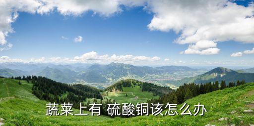农业硫酸铜怎么溶解,100ml水能溶解多少硫酸铜
