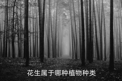  花生属于哪种植物种类