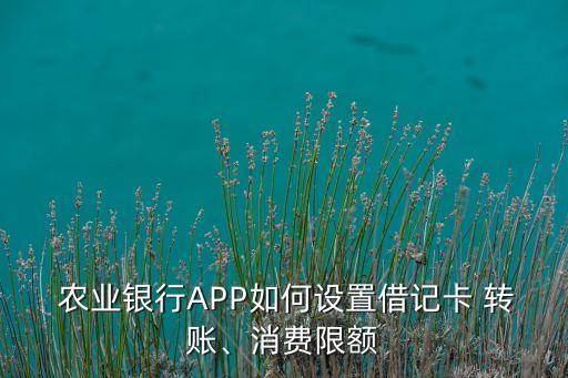 农业app怎么转账额度,建设银行APP转账额度