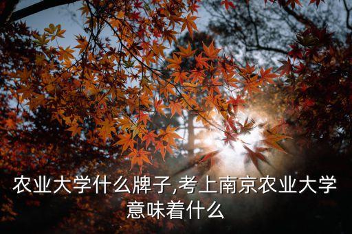 南京农业大学什么牌子,考上南京农业大学意味着什么