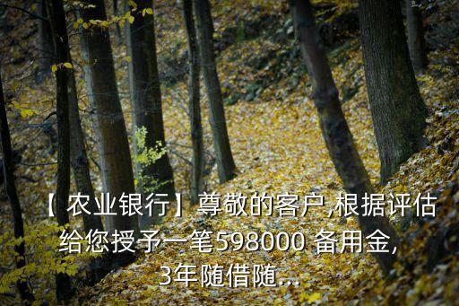 农业银行备用金怎么还
