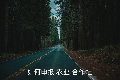 农业专业合作社国税怎么报