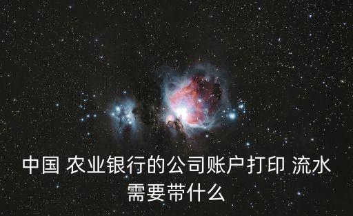 农业银行定期流水怎么打