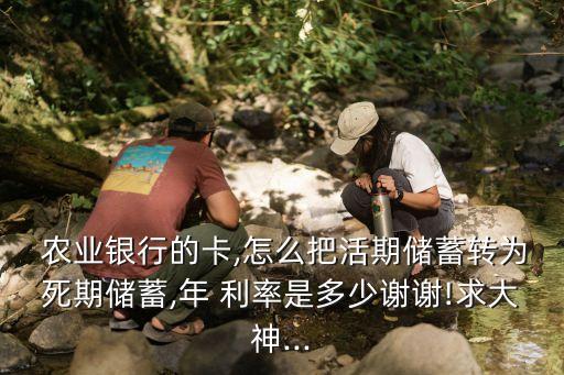 农业银行怎么转固定利率,固定利率怎么转LPR