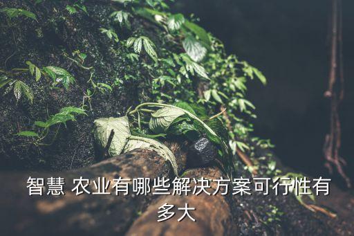 智慧农业干什么活好呢