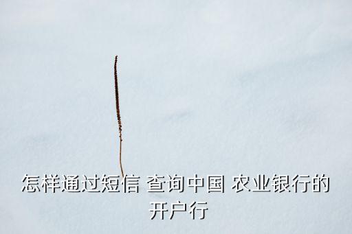 农业开户支行怎么查询,农业银行卡开户行号查询
