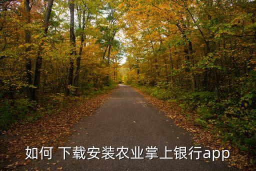 苹果平板怎么下载农业银行