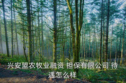 广西农业担保待遇怎么样,云南省农业担保有限公司待遇