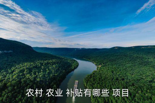 农业补贴项目名字怎么填