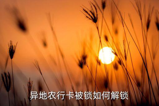 农业银行地区锁怎么看
