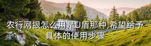 农业银行盾怎么激活