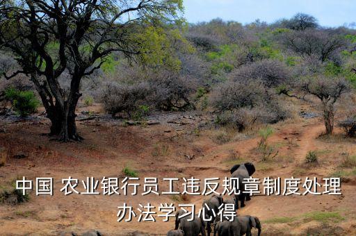 该怎么推进农业银行的责任