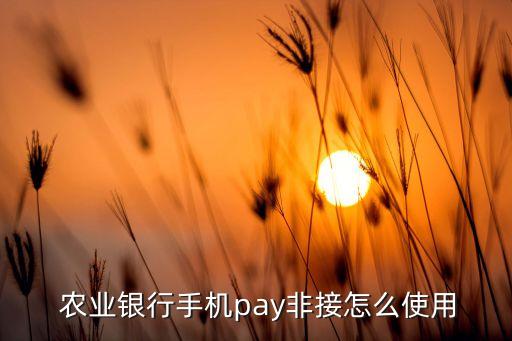农业银讯通怎么用