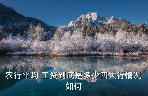 巧家县农业银行工资怎么样,农业银行的工资流水图片是怎么样的