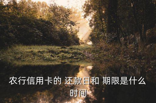 农业银行取现怎么还款期限