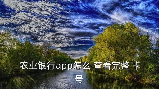 农业卡怎么查看卡号全号,农业app查看卡号