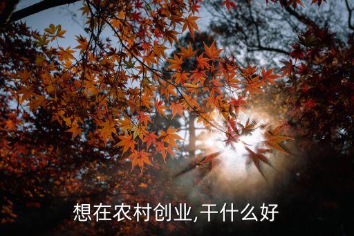 东北农业外卖怎么样,东北冬天送外卖怎么样