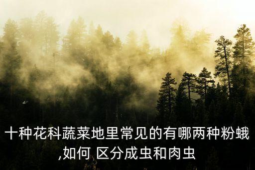 农业害虫种类怎么区分