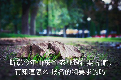 农业银行招聘报名怎么注册,2023农业银行招聘报名时间表