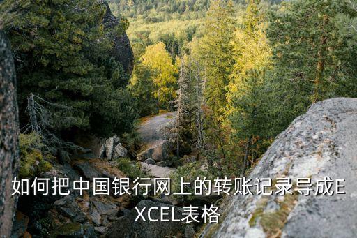 农业银行明细怎么导出excel