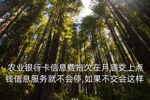 农业银行短信费怎么补缴