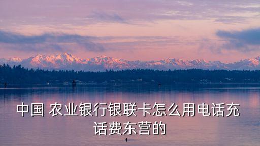 农业银行网上怎么交话费,网上农业银行怎么登录