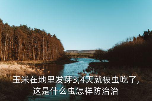 农业之友玉米螟怎么治