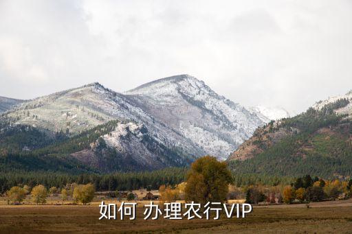 怎么办理农业银行vip卡,农业银行办理业务几星是VIP