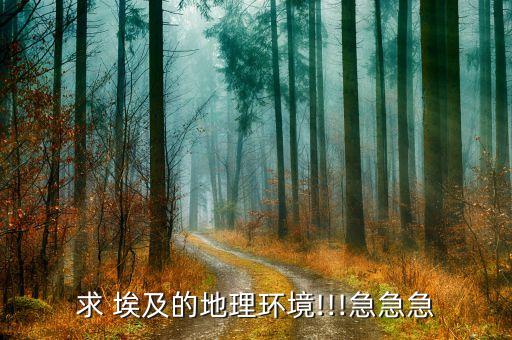 埃及的农业笔记英语怎么说,金字塔在埃及英语怎么说